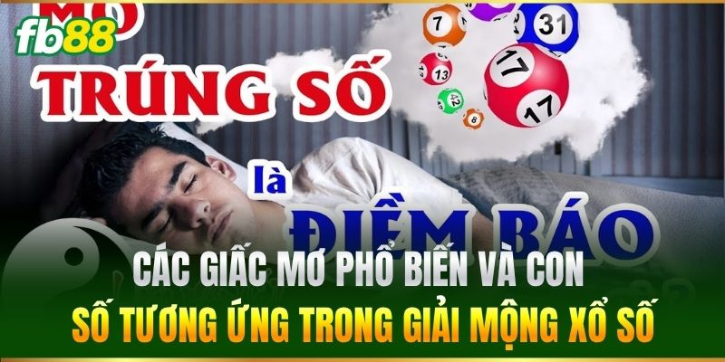 Các giấc mơ phổ biến và con số tương ứng trong Giải Mộng Xổ Số
